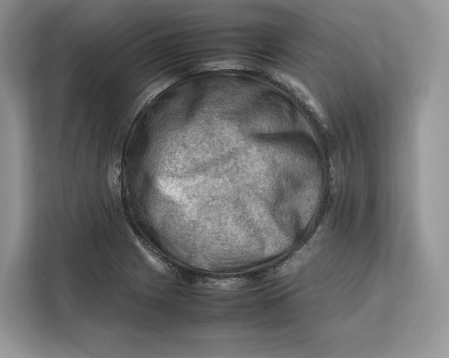 X0000112211225200908281453