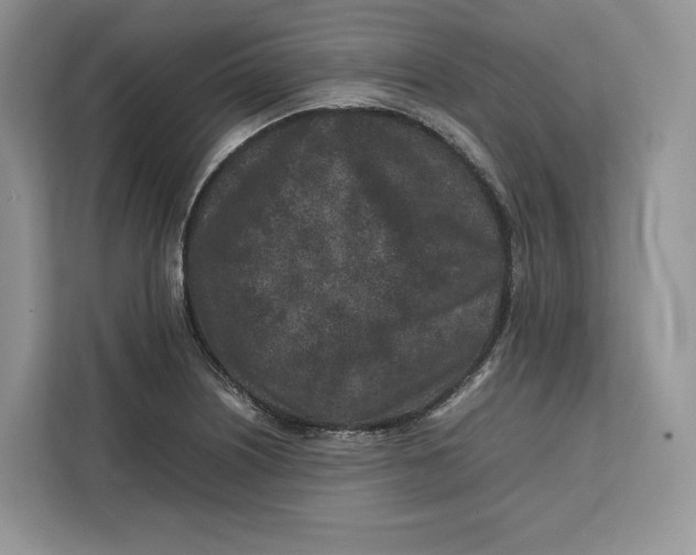 X0000112211226200908281453