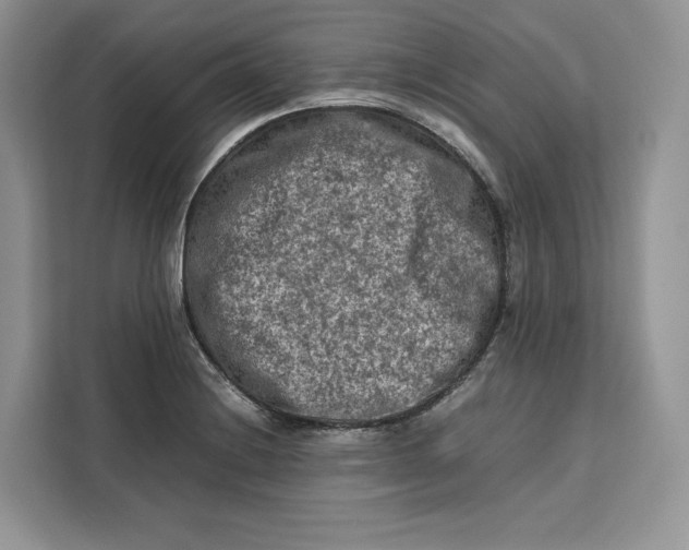 X0000112211228200908281453