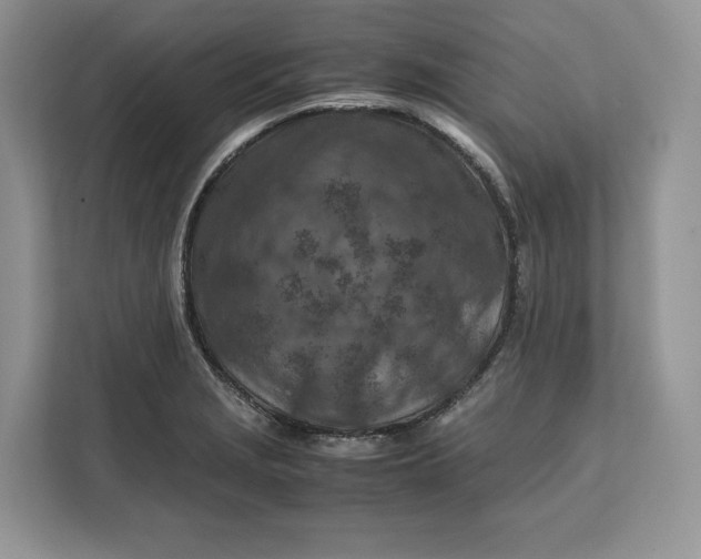 X0000112211229200908281453