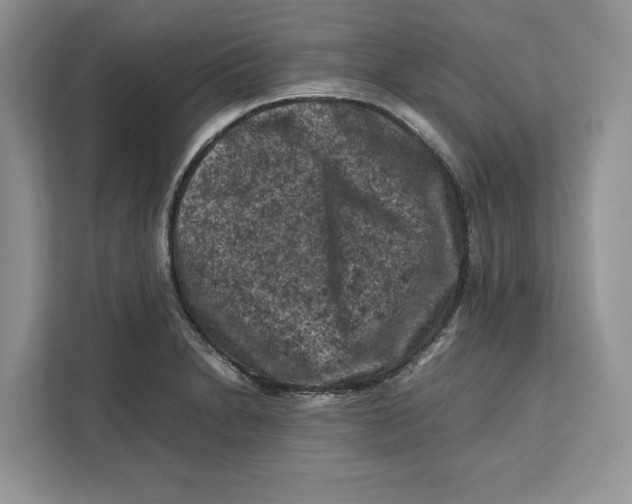 X0000112211230200908281453
