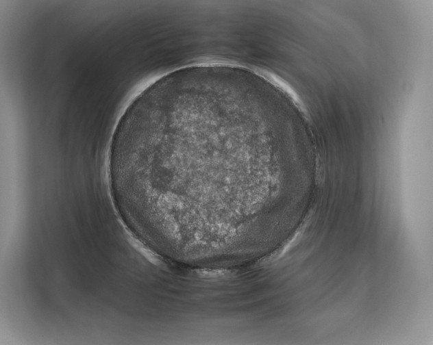 X0000112211231200908281453