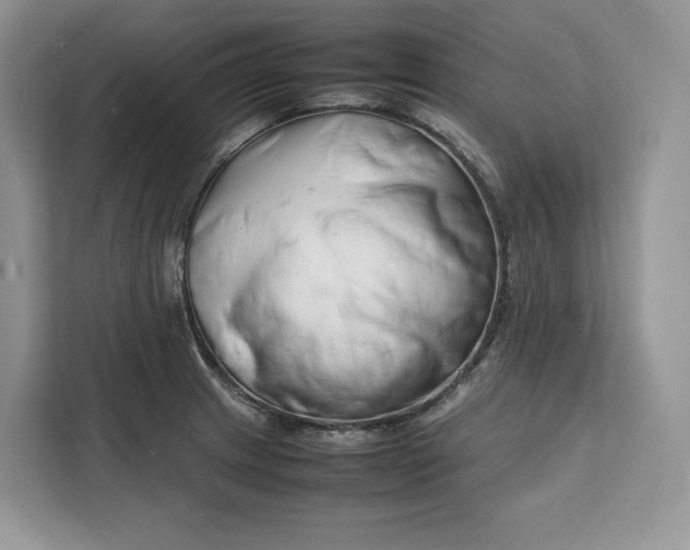 X0000112211233200908281453