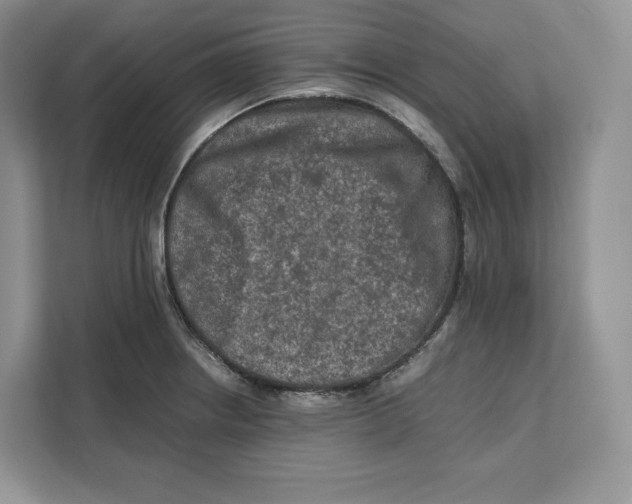 X0000112211234200908281453