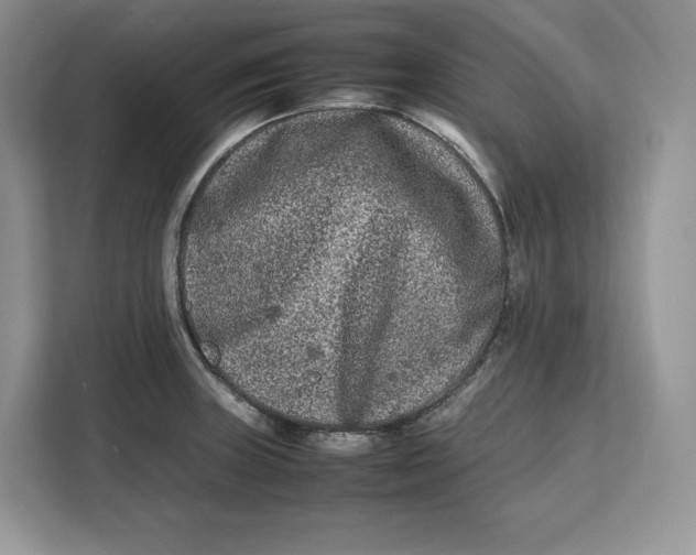 X0000112211235200908281453