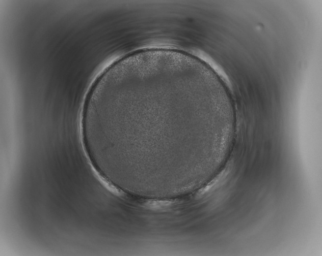 X0000112211237200908281453