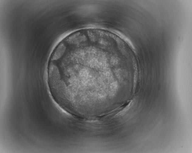 X0000112211239200908281453