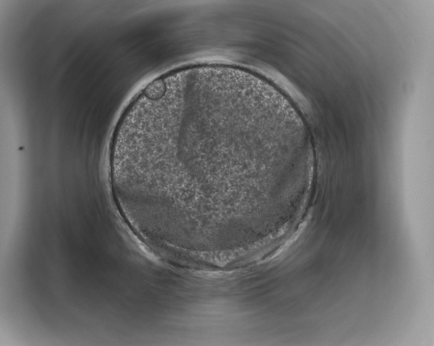 X0000112211240200908281453