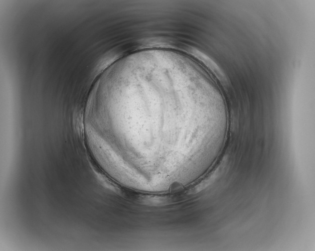 X0000112211241200908281453