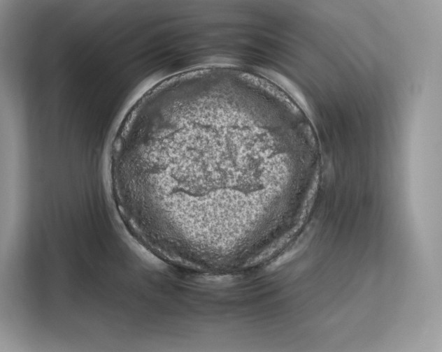 X0000112211243200908281453