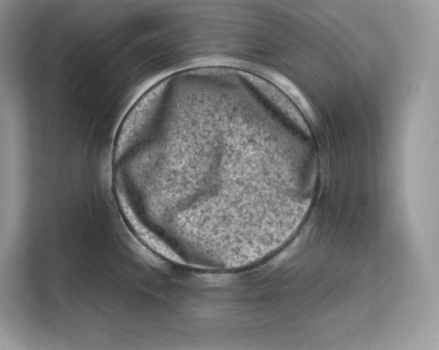 X0000112211244200908281453