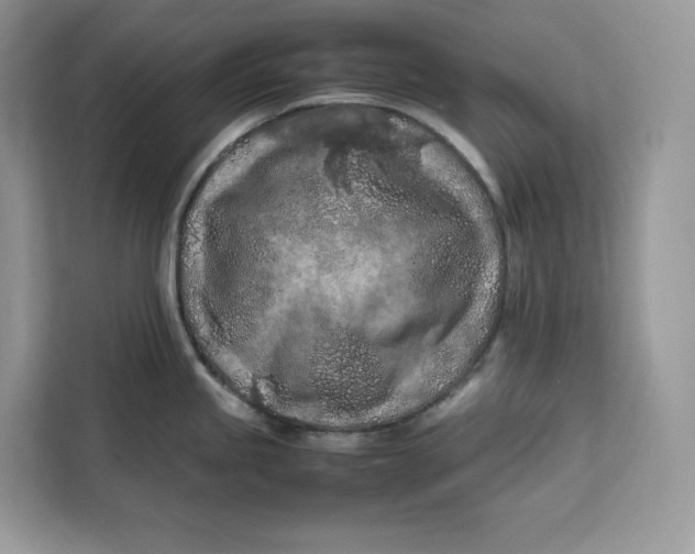 X0000112211245200908281453