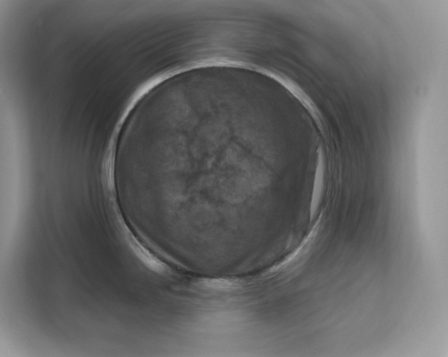 X0000112211246200908281453