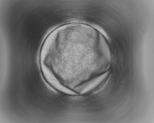 X0000112211247200908281453