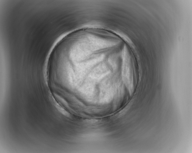 X0000112211248200908281453