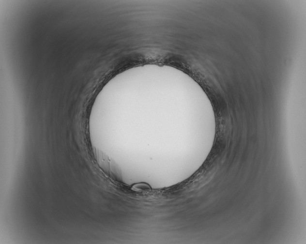 X0000112211249200908281453