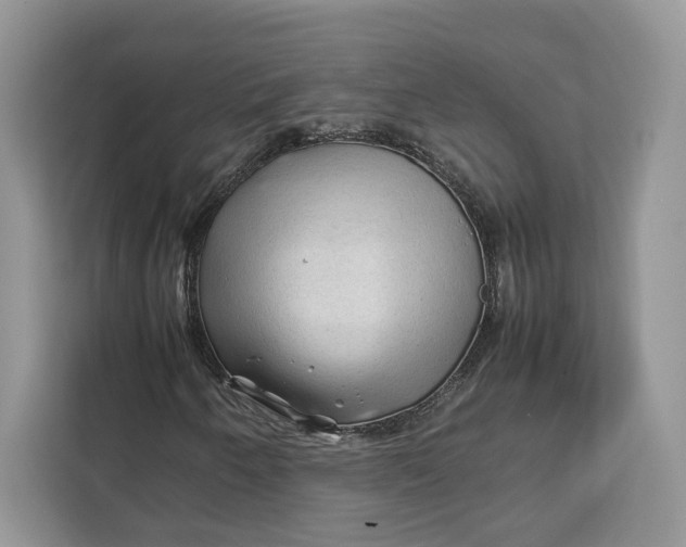 X0000112211250200908281453
