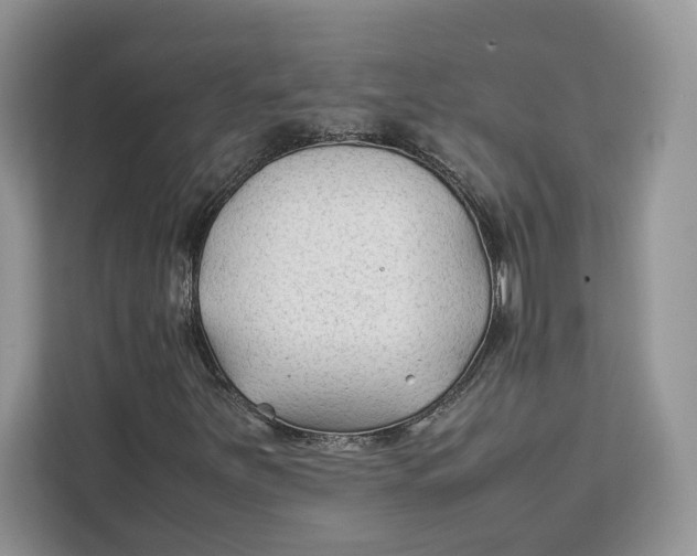 X0000112211251200908281452