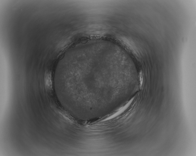 X0000112211252200908281452