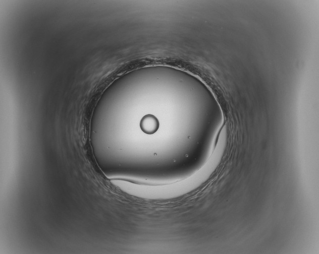 X0000112211253200908281452