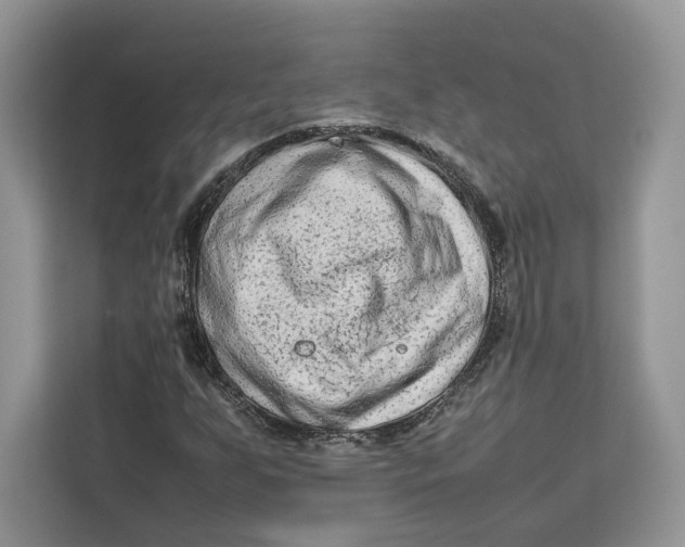 X0000112211255200908281452