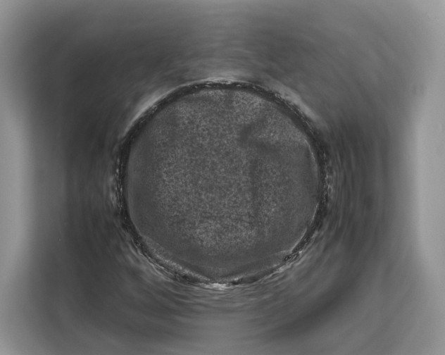 X0000112211256200908281452