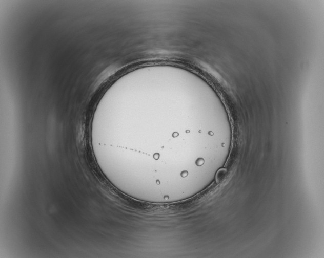 X0000112211259200908281452