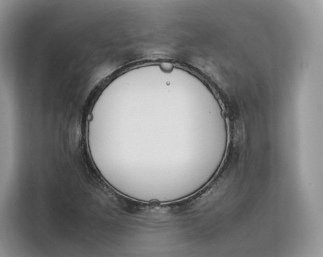 X0000112211261200908281452