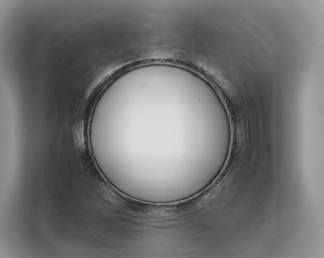 X0000112211262200908281452