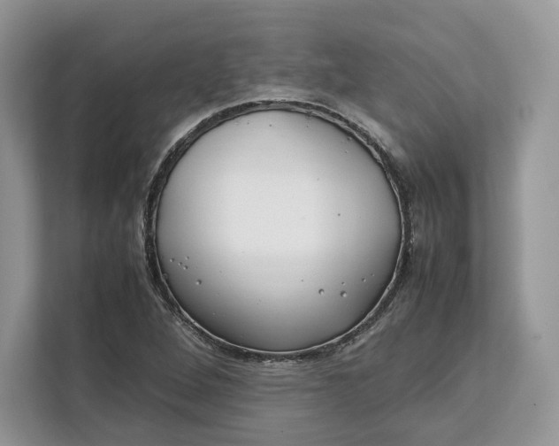 X0000112211264200908281452