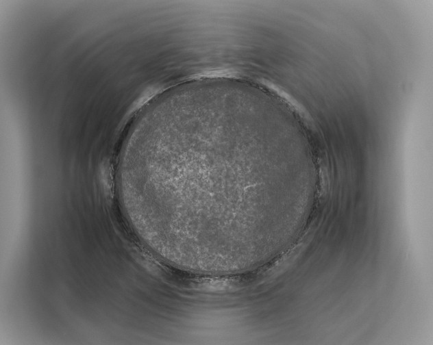 X0000112211266200908281452