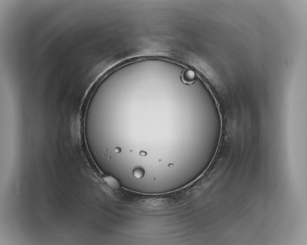 X0000112211268200908281452