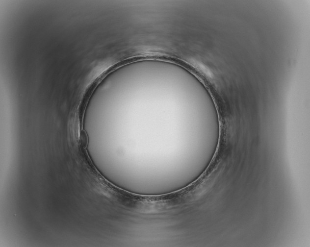 X0000112211269200908281452