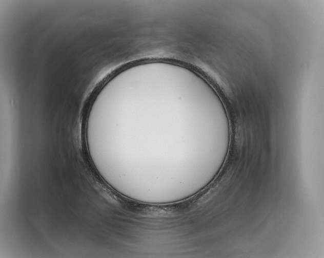 X0000112211270200908281452