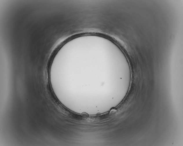 X0000112211271200908281452