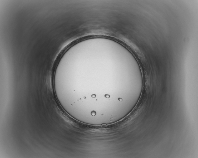 X0000112211272200908281452