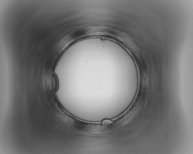 X0000112211273200908281452