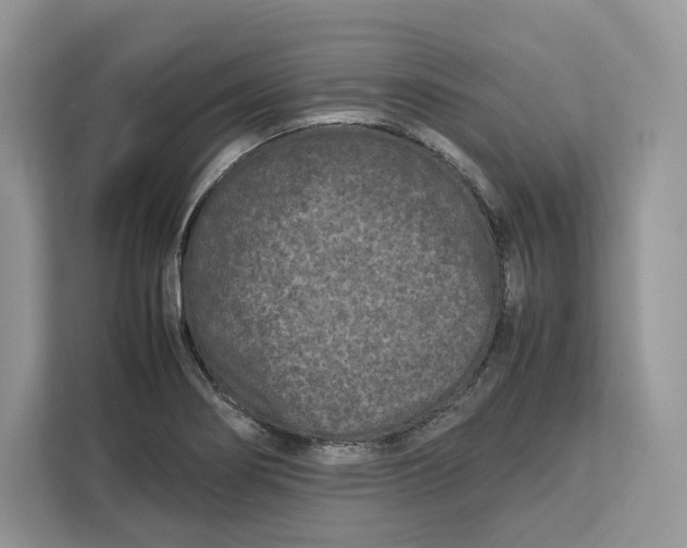 X0000112211274200908281452