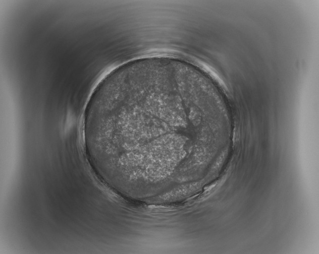 X0000112211275200908281452