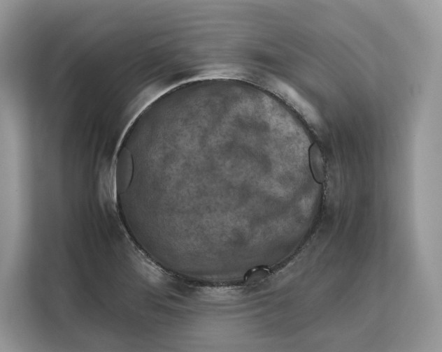 X0000112211276200908281452