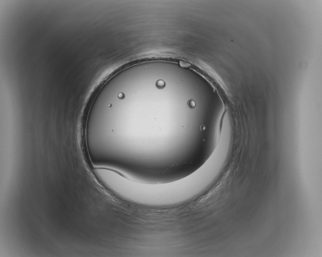 X0000112211277200908281452