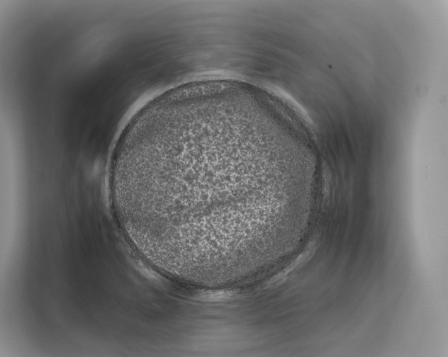 X0000112211278200908281452