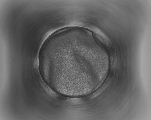 X0000112211280200908281452