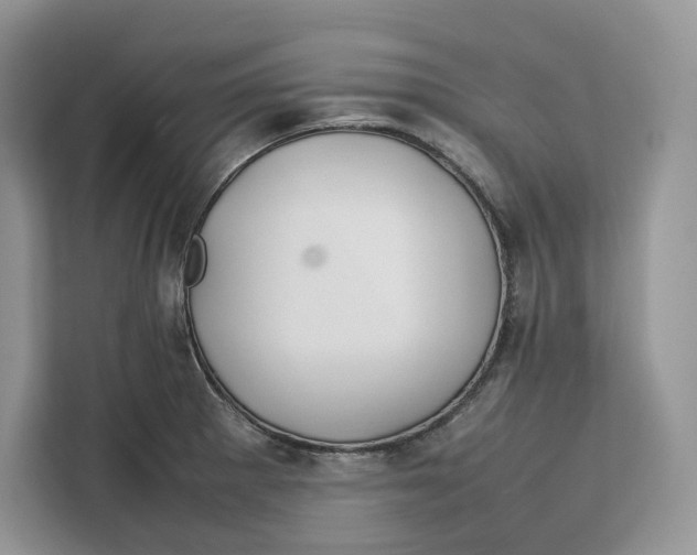 X0000112211281200908281452