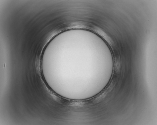 X0000112211282200908281452