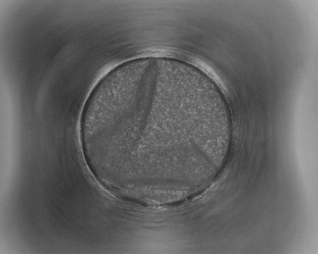 X0000112211283200908281452