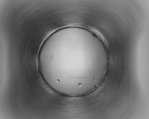 X0000112211284200908281452