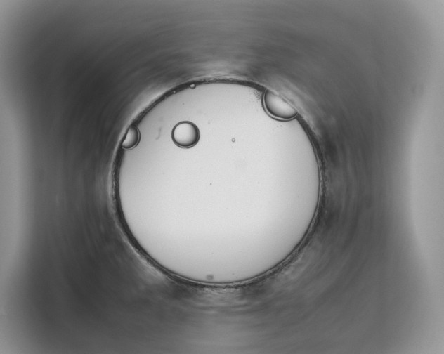 X0000112211285200908281452