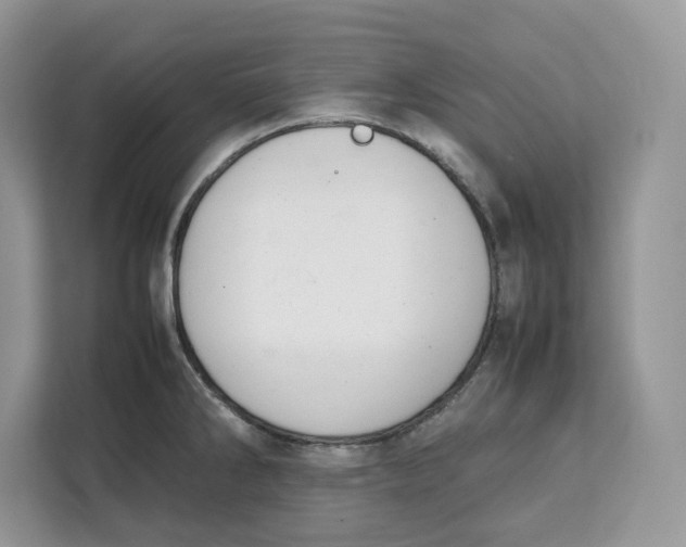 X0000112211286200908281452