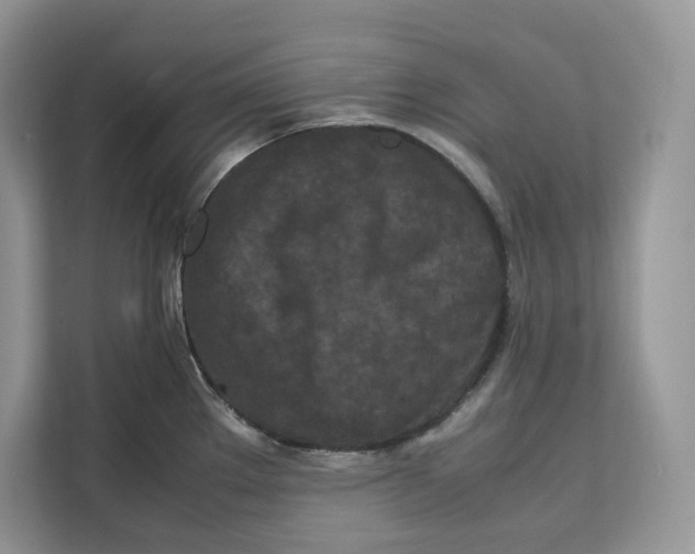 X0000112211289200908281452